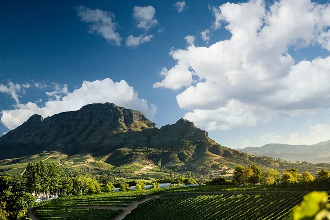 Wineland Private Tour in Stellenbosch ,Paarl and Franschhoek - Tour Highlights and Inclusions