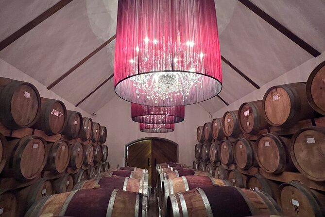 Wineland Without Wine Tasting - Exploring Winemaking Processes