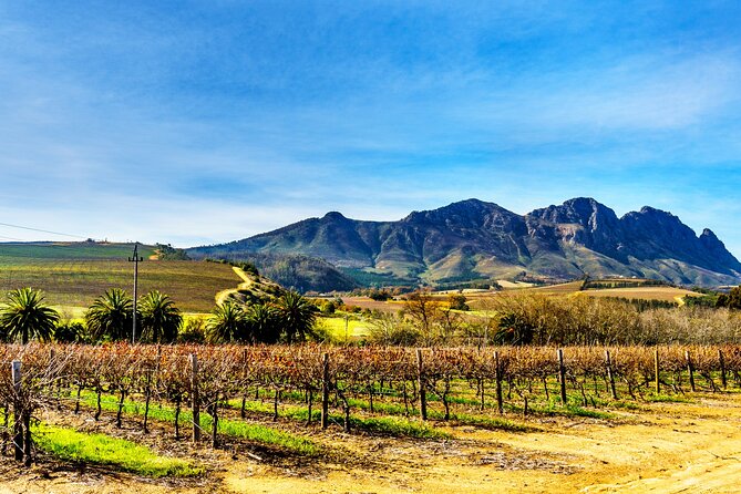 Wineland Wonders: Cape Town's Exquisite Journey - Pricing and Inclusions