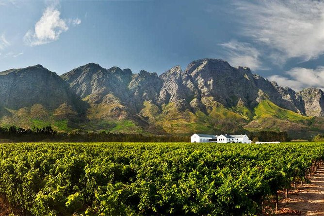 Winelands Full Day Tour - Top Wineries to Visit