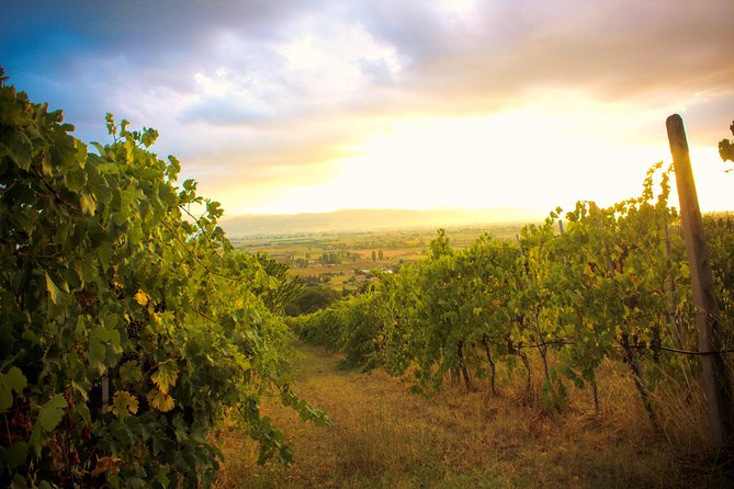 Winemaker for a Day: Tour an Organic Winery - Tour Details