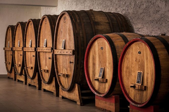 Winemaker for a Day: Tour an Organic Winery - Wine Tasting Experience