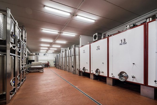 Winemaker for a Day: Tour an Organic Winery - Ordering Wine