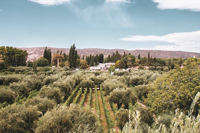 Winemaker-Led Private Exclusive Wine Tour - Gourmet Lunch - Wine Tasting Experiences