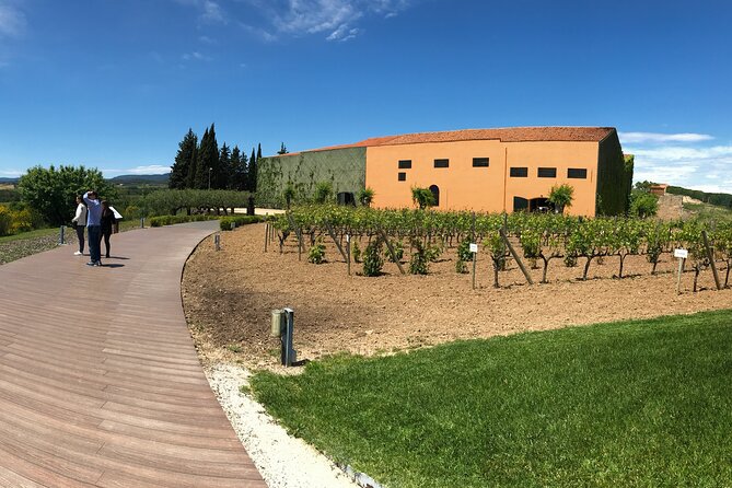 Wineries Art & Tapas Experience - Private Tour - Tapas and Wine Tasting