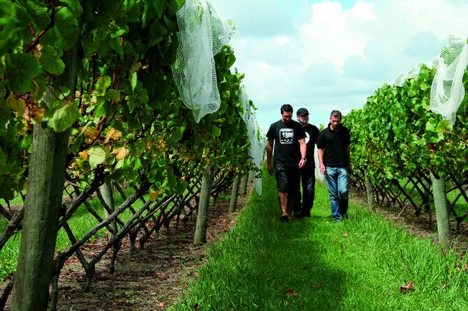 Wineries Honey and Black Sand Beaches From Auckland - Directions