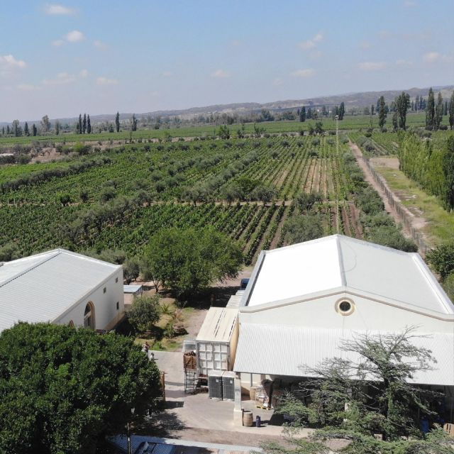 Wineries Private Tour Lunch W Pairings Transfer Included - Tour Details