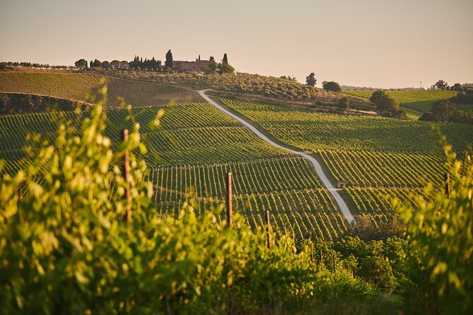 Wineries Tour and Wine Tastings in Chianti Hills From Florence - Cancellation Policy