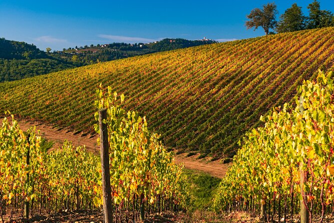 Wineries Tour and Wine Tastings in Chianti Hills From Florence - Reviews and Ratings