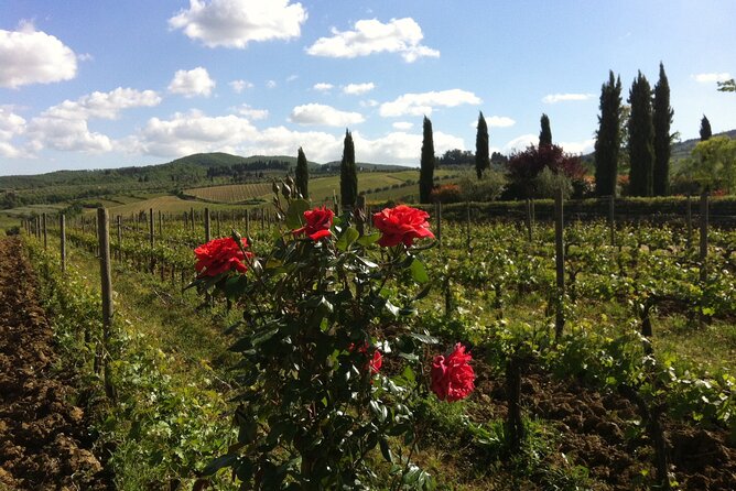 Wineries Tour and Wine Tastings in Chianti Hills From Florence - Common Questions