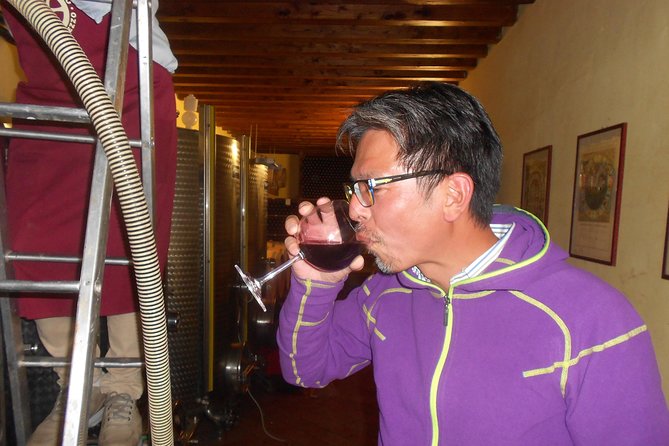 Winery Agriturismo Santo Stefano Castiglion Fiorentino (6 Types of Wine) - Location and Facilities of Winery Agriturismo Santo Stefano Castiglion Fiorentino