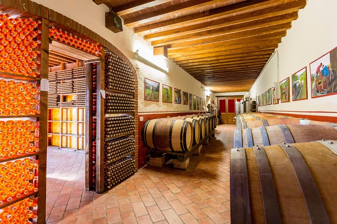 Winery Agriturismo Santo Stefano Castiglion Fiorentino (6 Types of Wine) - Tasting Notes and Characteristics of the 6 Types of Wine