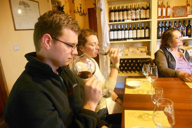 Winery Agriturismo Santo Stefano Castiglion Fiorentino (6 Types of Wine) - Visiting Winery Agriturismo Santo Stefano Castiglion Fiorentino: Tours and Experiences
