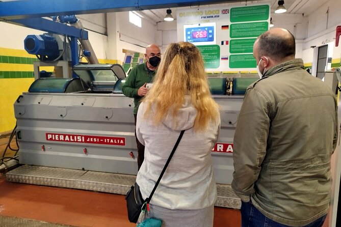 Winery And Oil Mill Tasting Tour - Sampling Olive Oils
