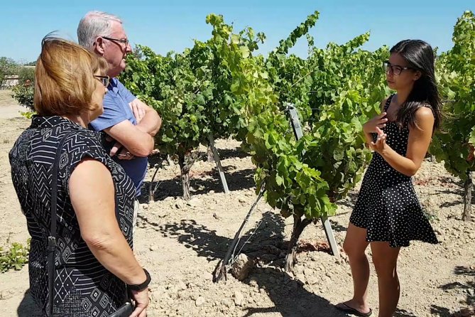 Winery And Oil Mill Tasting Tour - Exploring a Family Farm
