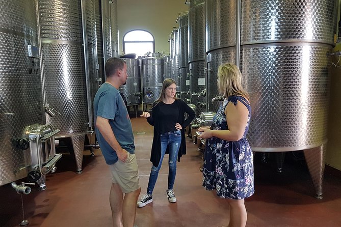 Winery And Oil Mill Tasting Tour - Traveler Reviews and Tips