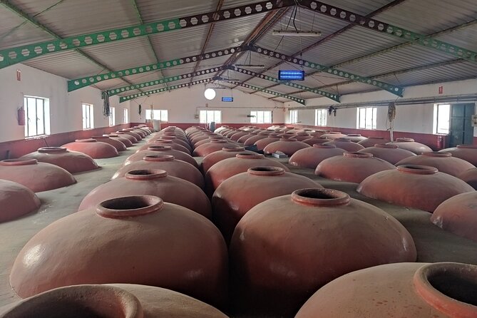 Winery and Olive Mill Guided and Tasting Tour With Tapas - Tour Operator and Location