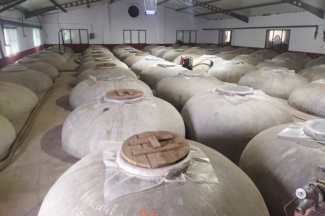 Winery and Olive Mill Guided and Tasting Tour With Tapas - Additional Information and Requirements