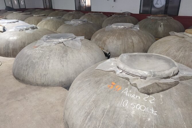 Winery and Olive Mill Guided and Tasting Tour With Tapas - Cancellation Policy and Refunds