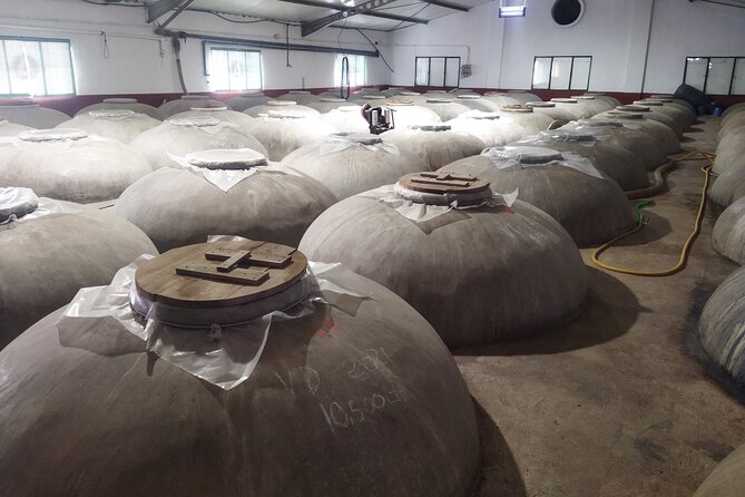 Winery and Olive Mill Guided and Tasting Tour With Tapas - Pricing and Booking Information