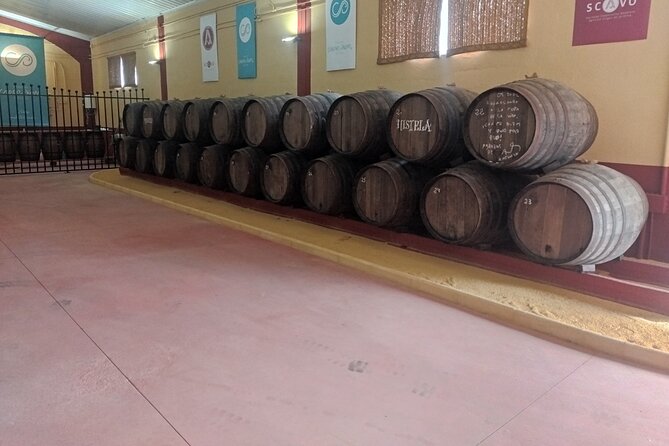 Winery and Olive Mill Guided and Tasting Tour With Tapas - Contact and Support Details