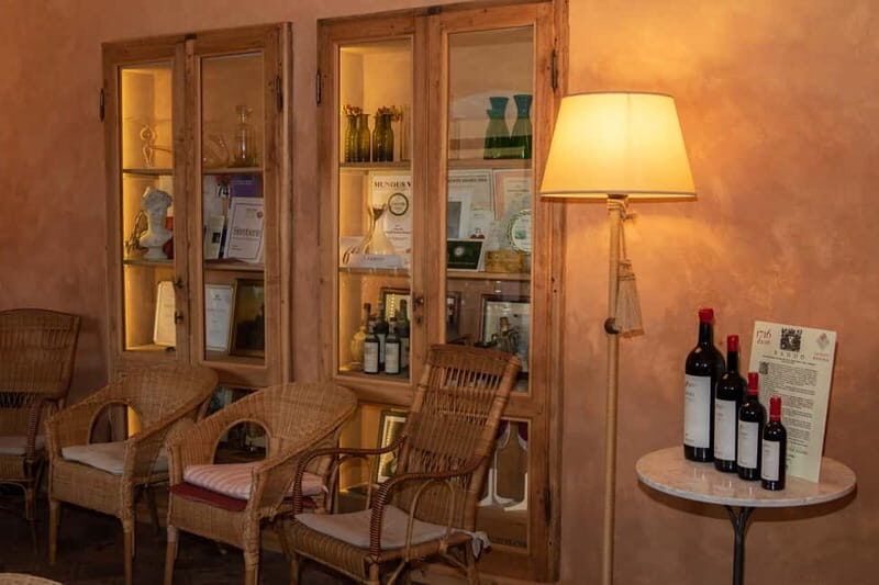 WINERY AND VINSANTAIA TOUR + TASTING + PLATTER - What to Expect from the Tuscany Winery Experience