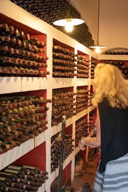 WINERY AND VINSANTAIA TOUR + TASTING + PLATTER - The Experience in Context