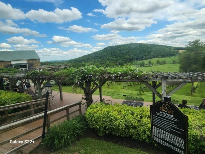 Winery Bus Tour From Metro DC - Visit 3 Wineries in One Day! - Transportation and Amenities