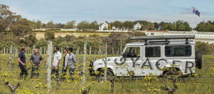 Winery Estate Tour & Wine-Paired Lunch - Experience Highlights