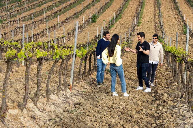 Winery Experience, Sintra & Pena Palace With Wine Tasting - Additional Information and Assistance