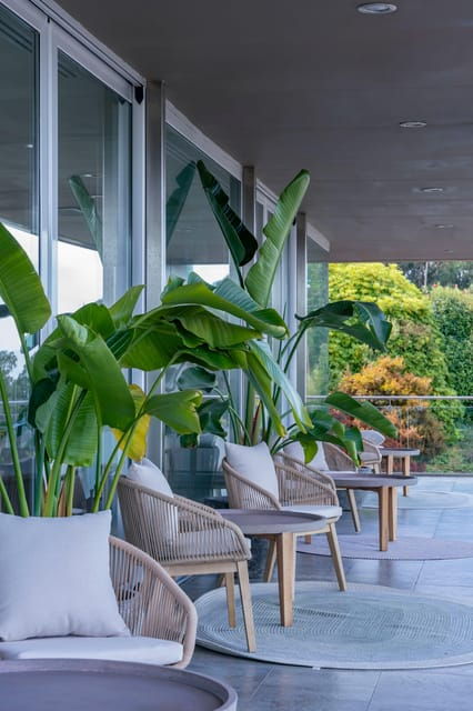 Winery in Rías Baixas With the Best Views of the Salnés Valley. - Albariño Production: A Taste of Rías Baixas