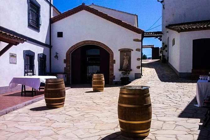 Winery, Lunch and Wine Tasting - Vineyard Tour and Viticulture Course