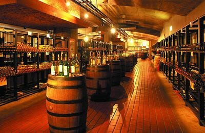 Winery & Oshino Hakkai Full-Day Tour with Fruit Picking - Grape picking is the day’s most hands-on stop