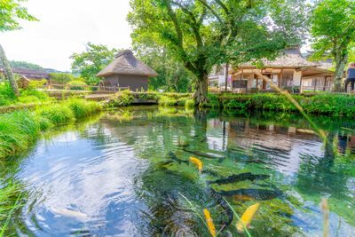 Winery & Oshino Hakkai Full-Day Tour with Fruit Picking - The winery adds a taste of Yamanashi