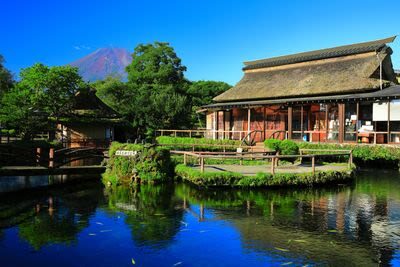 Winery & Oshino Hakkai Full-Day Tour with Fruit Picking - A guide can make a multi-stop day feel easier