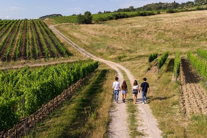 Winery Tasting Tour in Montepulciano: Only for Wine Lovers: - Logistics Details