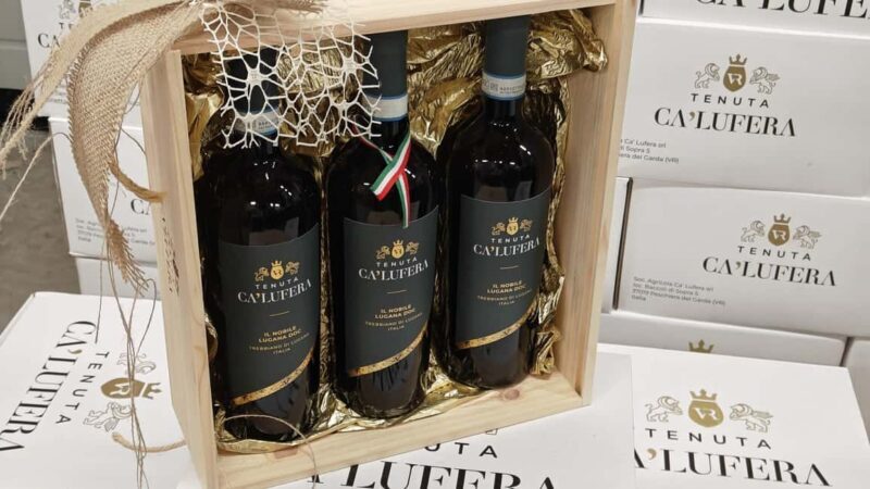 Winery tasting: tour with tasting on the estate. - Good To Know