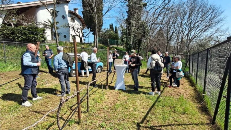 Winery tasting: tour with tasting on the estate. - What You Can Expect from This Wine Experience