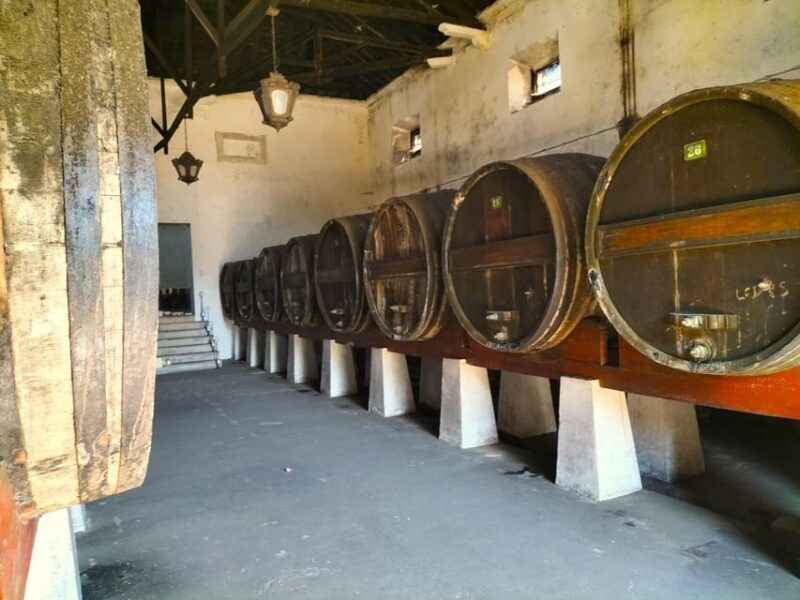 Winery, Tastings & 4WD Vineyards: Half-Day Trip from Lisbon - Good To Know
