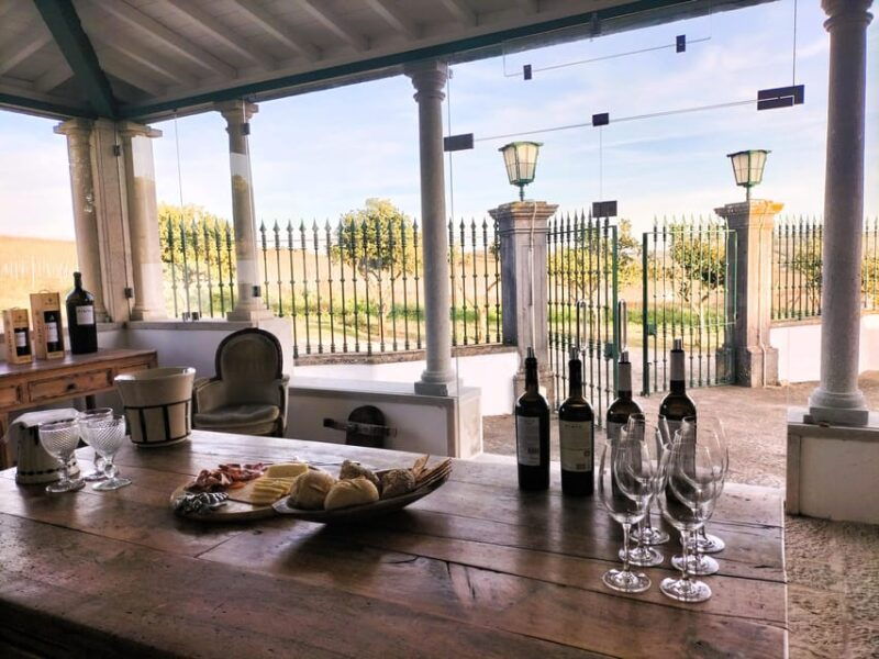 Winery, Tastings & 4WD Vineyards: Half-Day Trip from Lisbon - Different Tour Options: Which One Fits You?