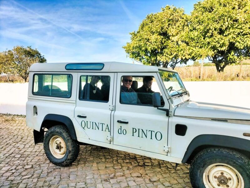 Winery, Tastings & 4WD Vineyards: Half-Day Trip from Lisbon - Why the Price is Worth It