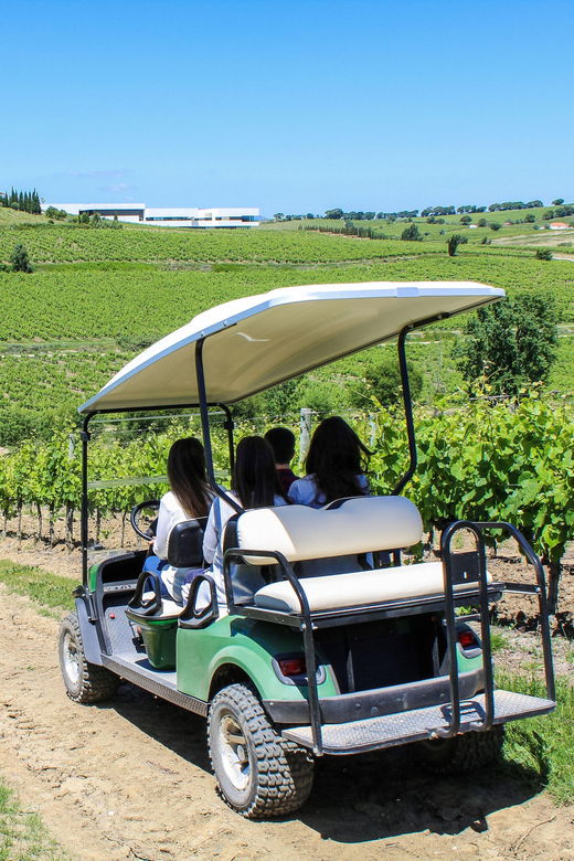 Winery, Tastings & 4WD Vineyards: Half-Day Trip from Lisbon - Final Thoughts: Is This Tour for You?