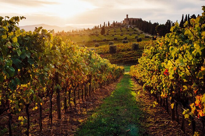 Winery Tour and Tasting - Booking and Confirmation