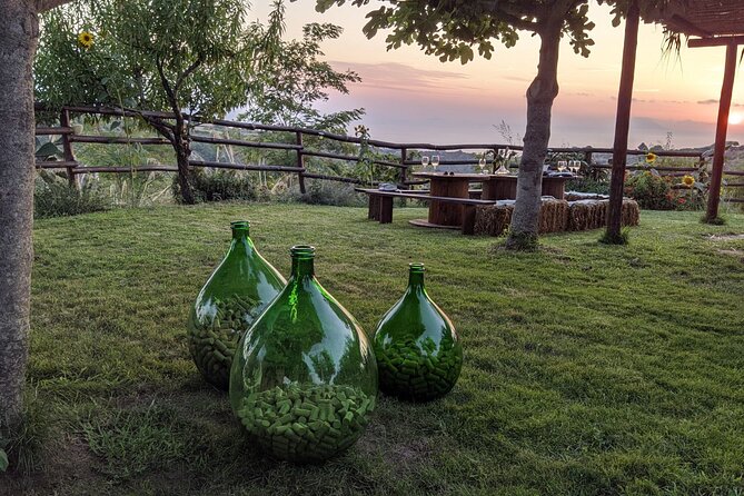 Winery Tour and Tasting at Sunset in the Countryside From Tropea - Sample Menu Delights