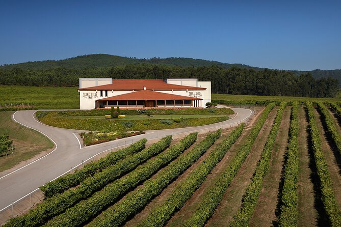 Winery Tour and Tasting at the Galician Estate - Winery Location