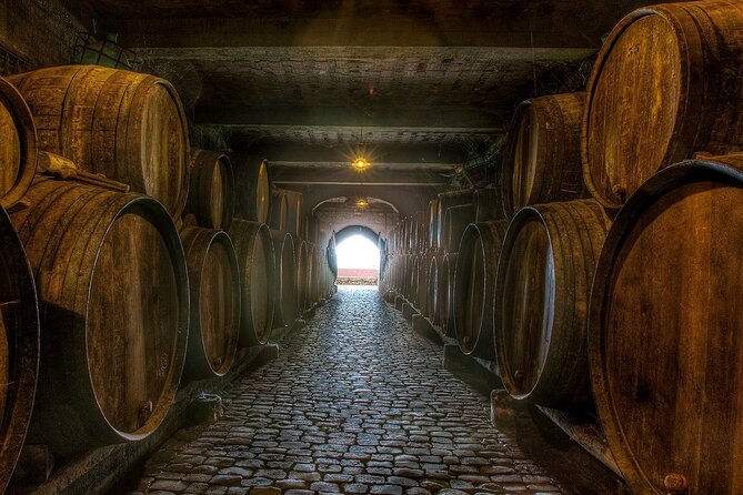 Winery Tour and Tasting in Tenerife With the Sommelier - Booking and Contact Information