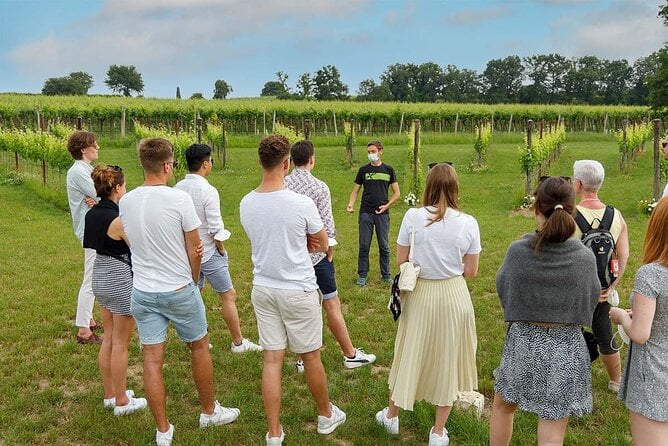 Winery Tour and Tasting of Garda Wines in Lazise - Overview