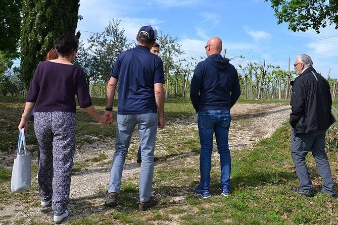 Winery Tour and Tasting of Garda Wines in Lazise - What To Expect