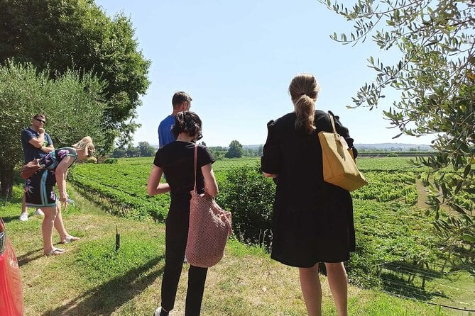 Winery Tour and Tasting of Garda Wines in Lazise - Additional Info