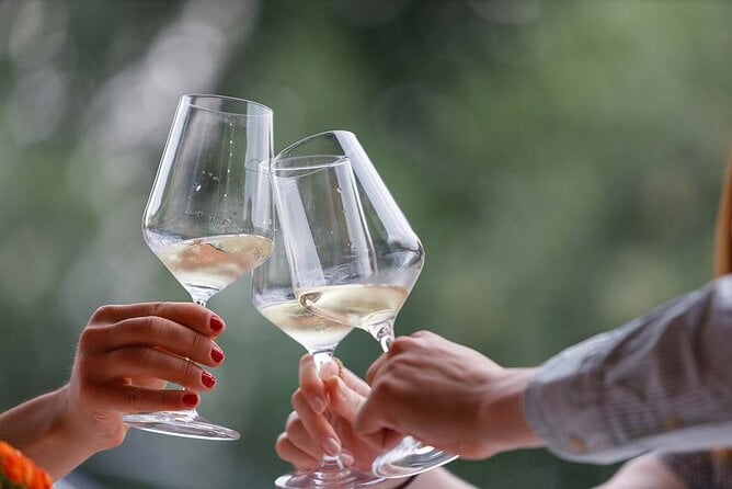 Winery Tour and Tasting of Garda Wines in Lazise - Cellar Visit